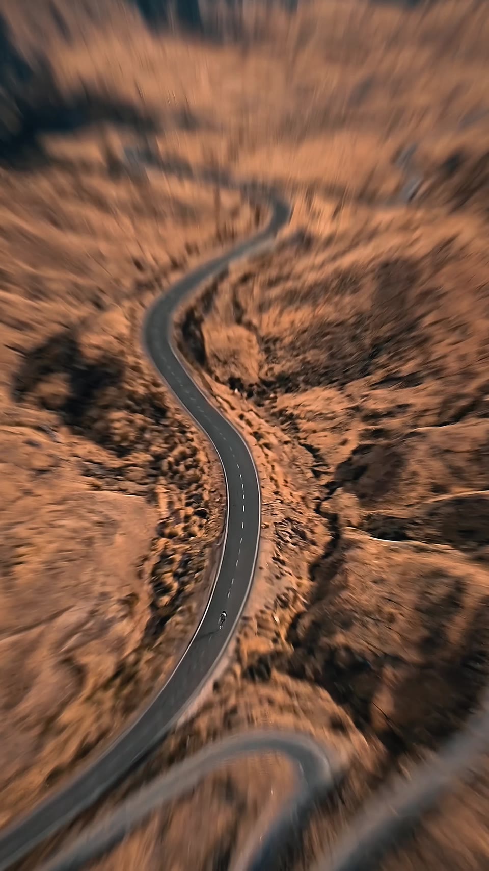 C03